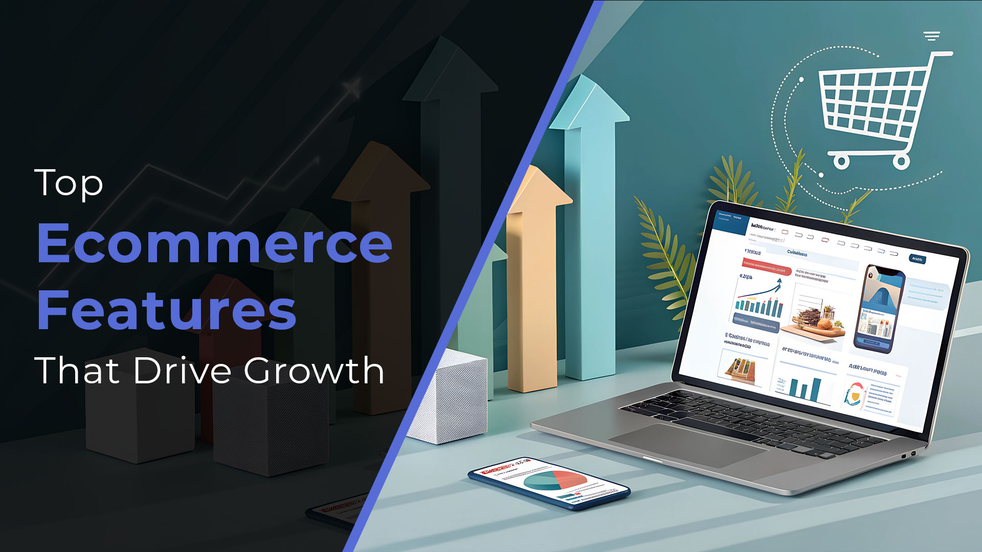 Ecommerce Solutions